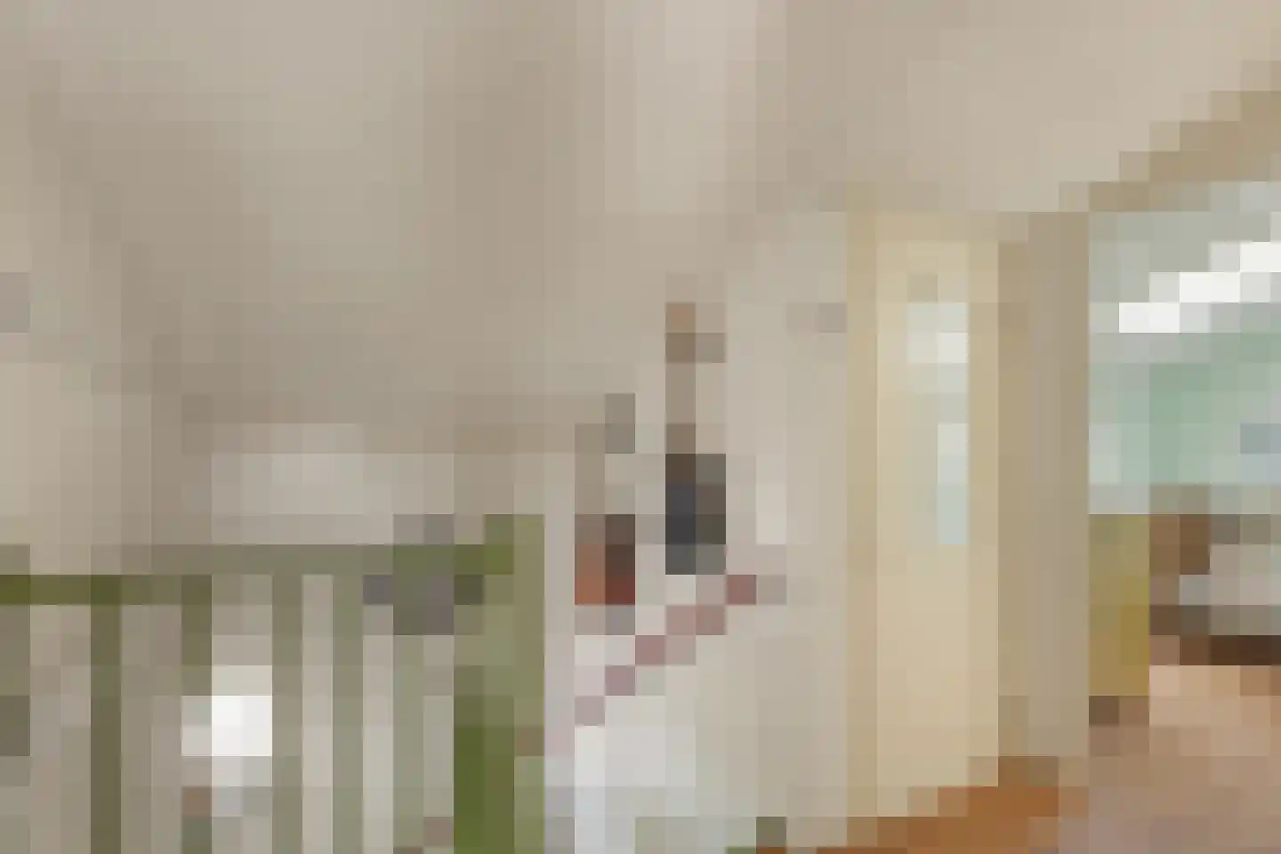 Tolheksbos 68 Hoofddorp thumbnail 28