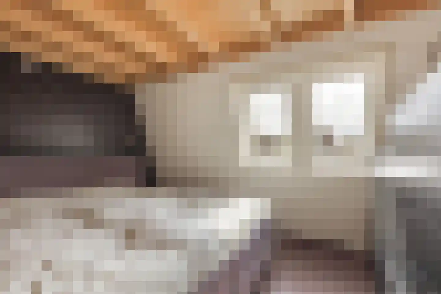 Tolheksbos 68 Hoofddorp thumbnail 34