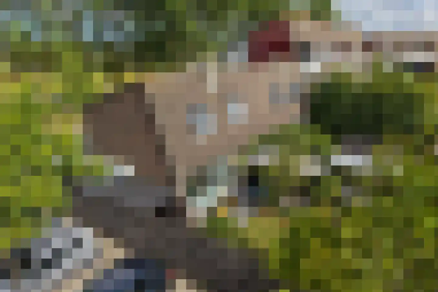 Tolheksbos 68 Hoofddorp thumbnail 42