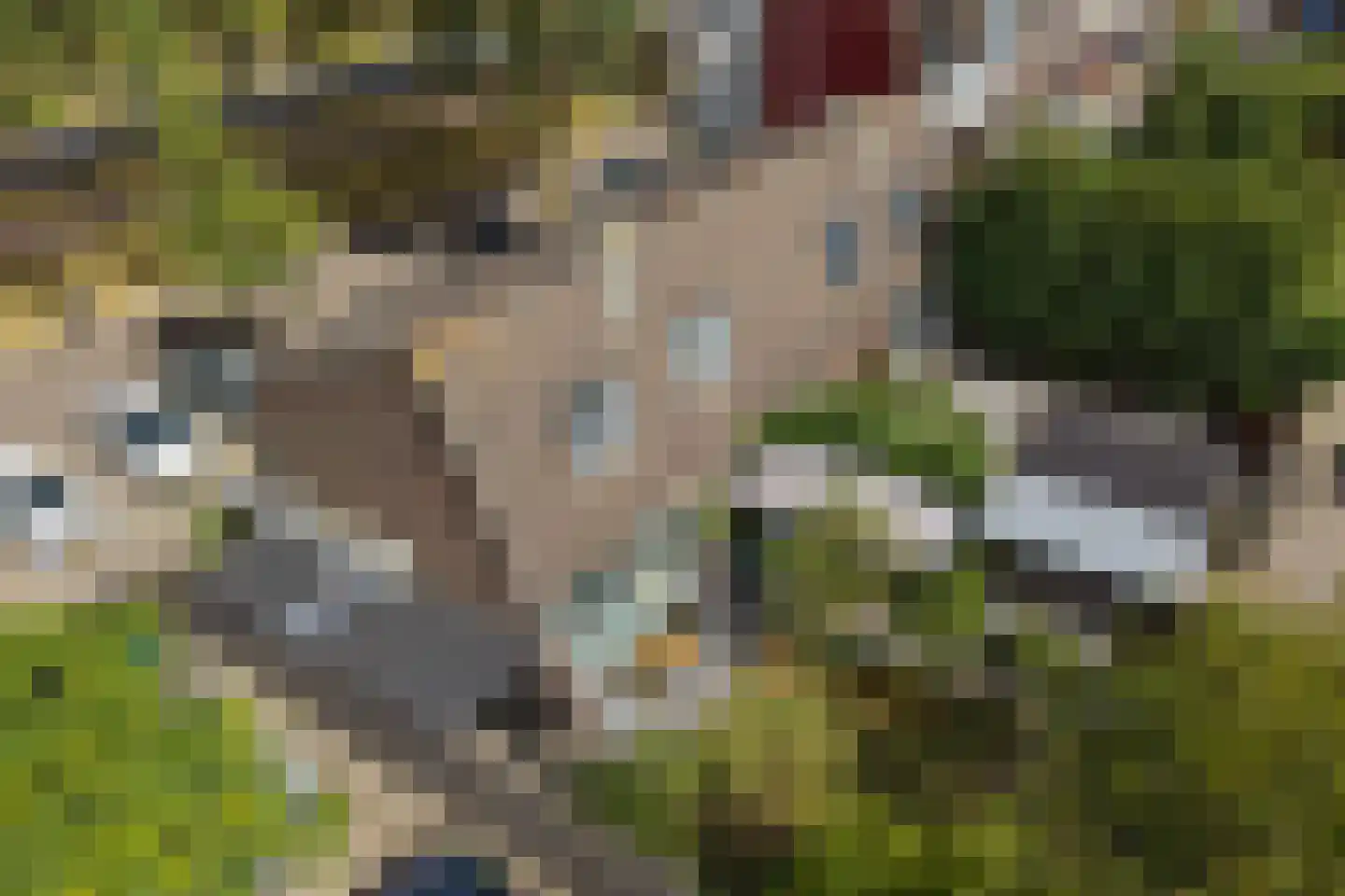 Tolheksbos 68 Hoofddorp thumbnail 43
