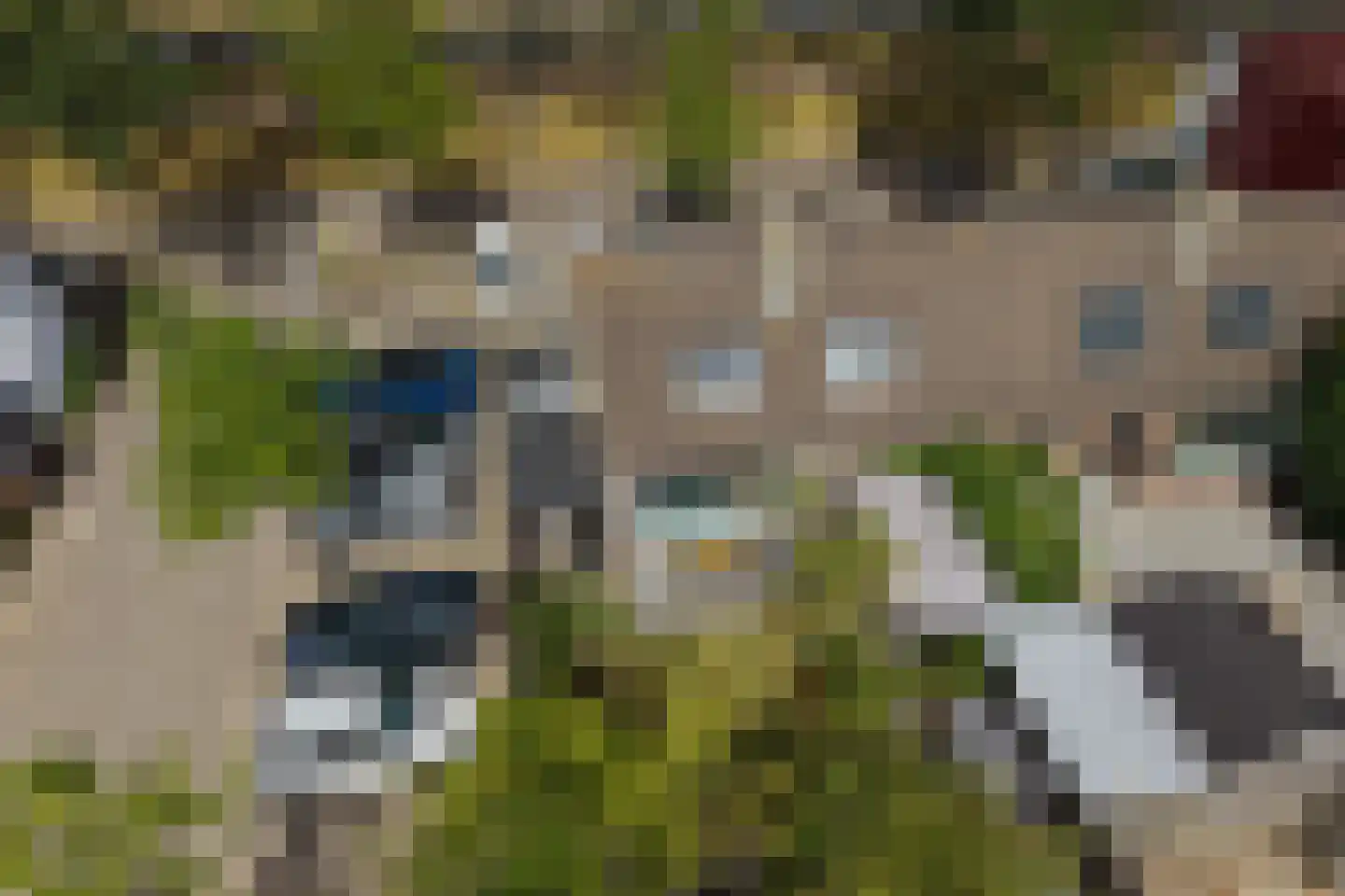 Tolheksbos 68 Hoofddorp thumbnail 44