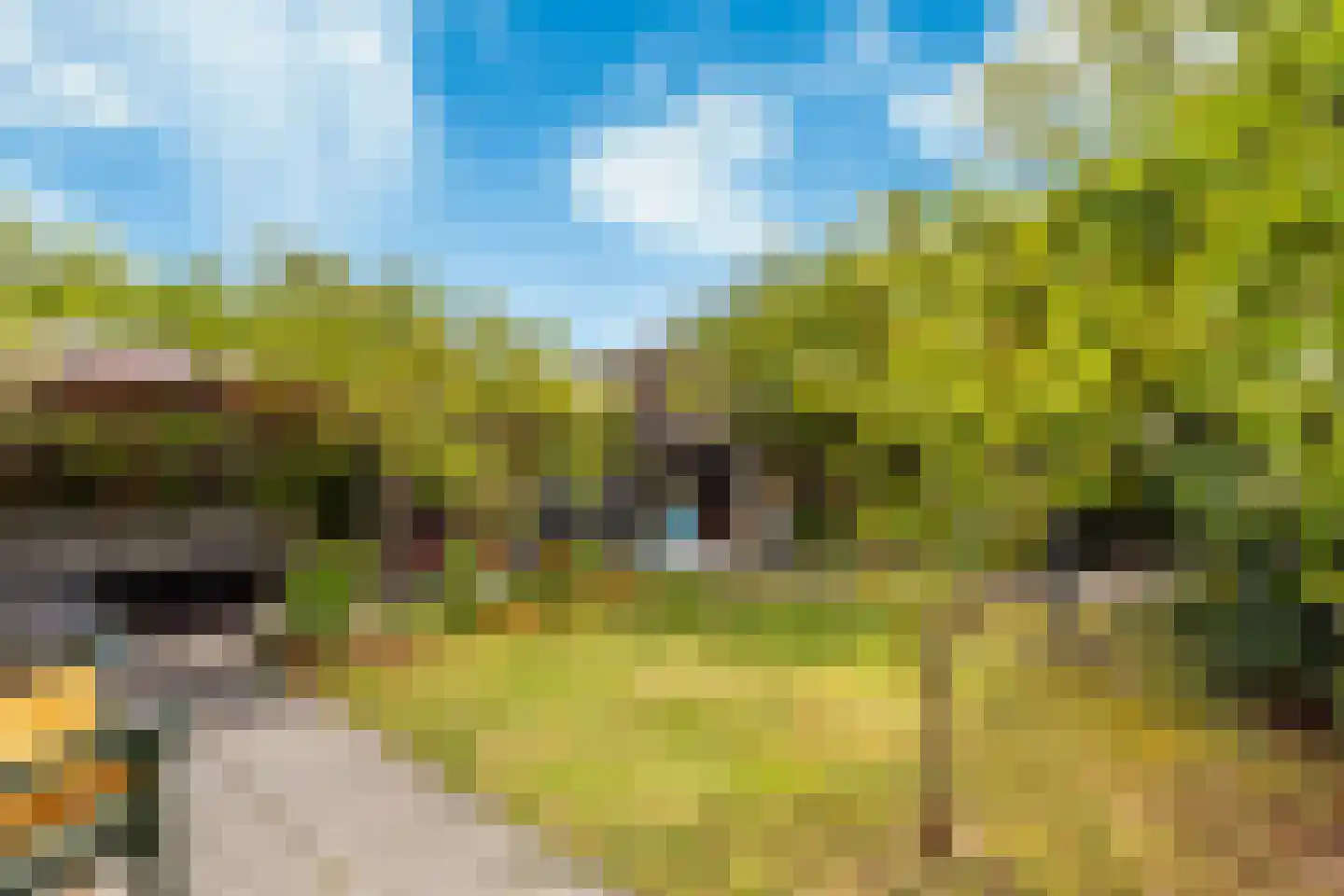 Tolheksbos 68 Hoofddorp thumbnail 5