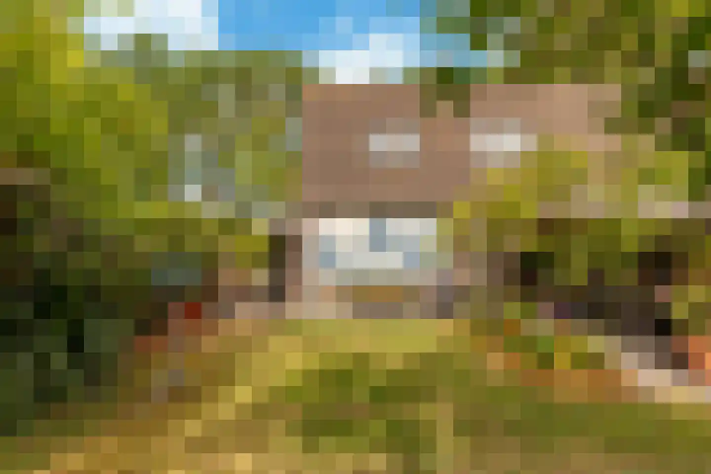 Tolheksbos 68 Hoofddorp thumbnail 6