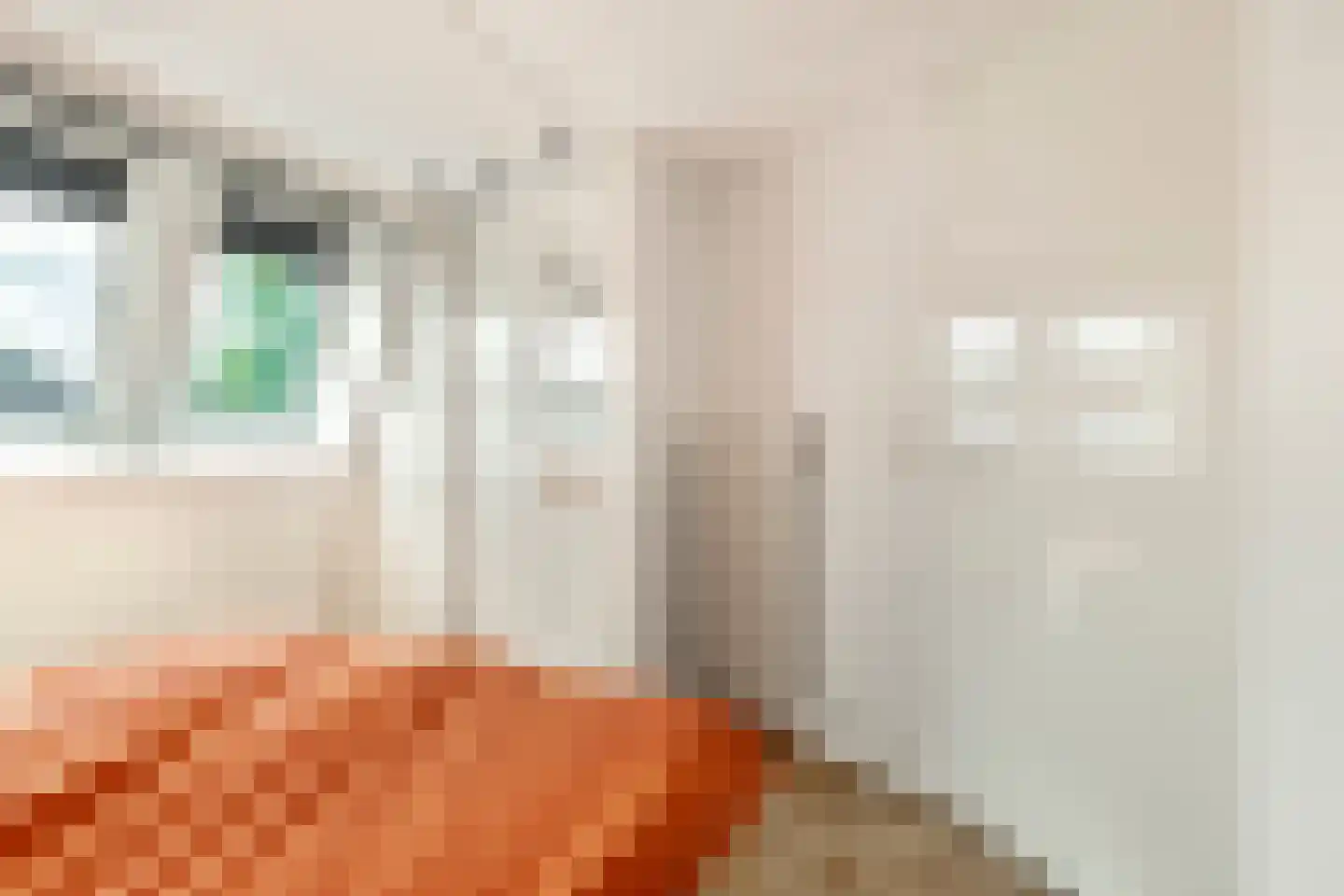 Tolheksbos 94 Hoofddorp thumbnail 35
