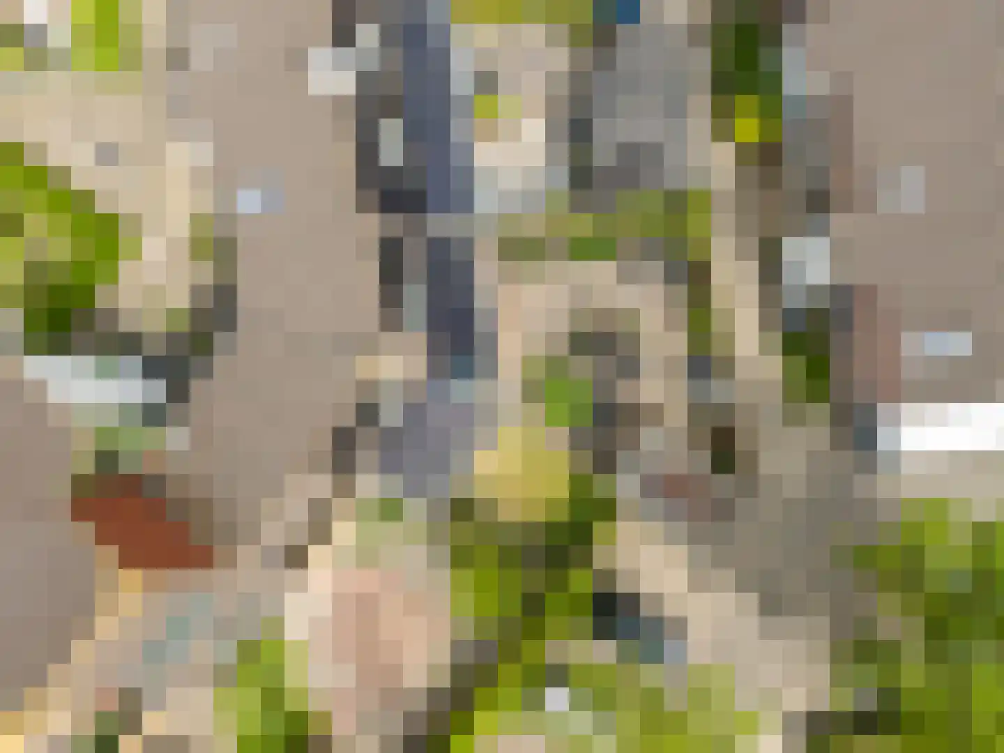 Tolheksbos 94 Hoofddorp thumbnail 41