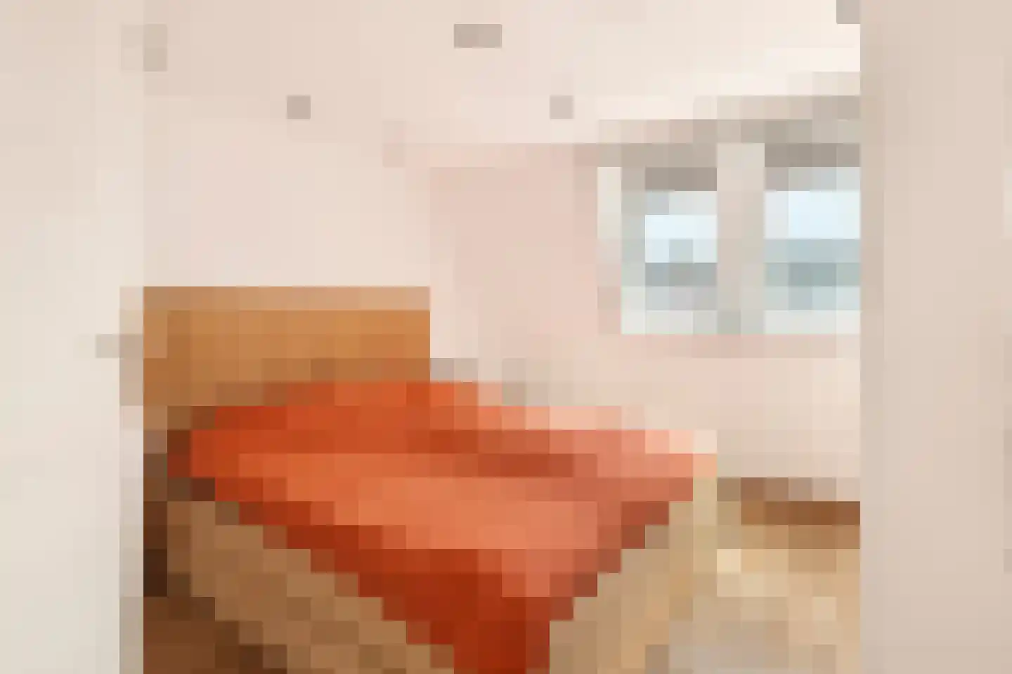 Tolheksbos 94 Hoofddorp thumbnail 5