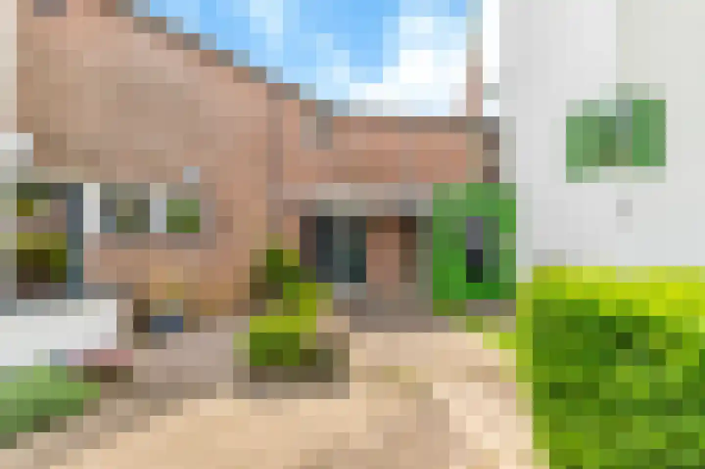 Tolheksbos 94 Hoofddorp thumbnail 7