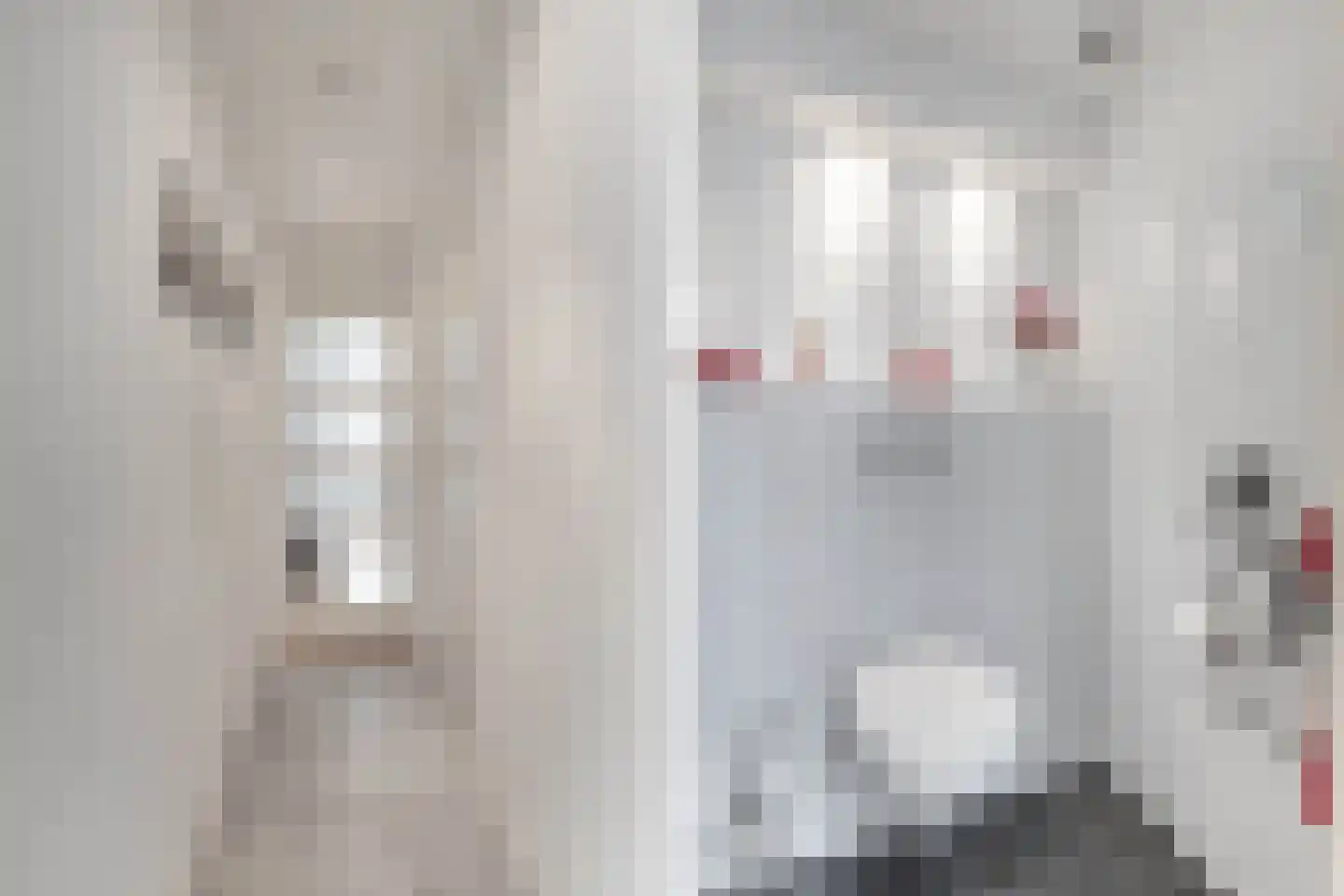 Tolheksleane 73 Frieschepalen thumbnail 11