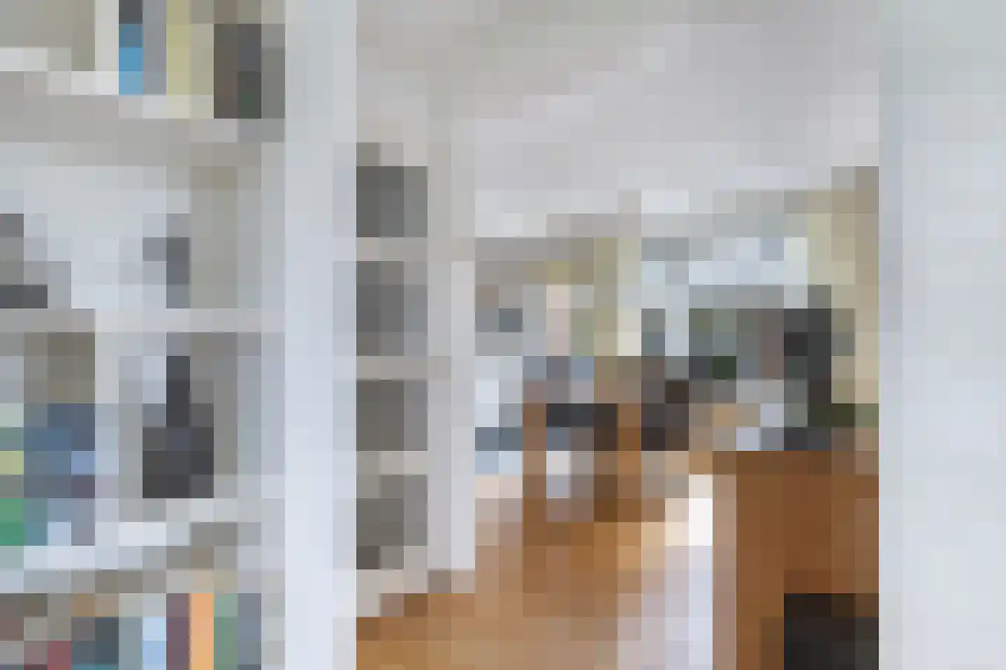 Tolheksleane 73 Frieschepalen thumbnail 12