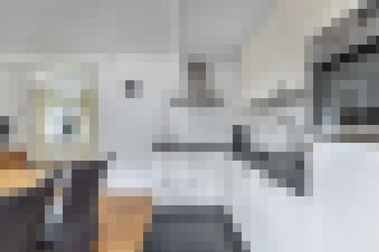 Tolheksleane 73 Frieschepalen thumbnail 15