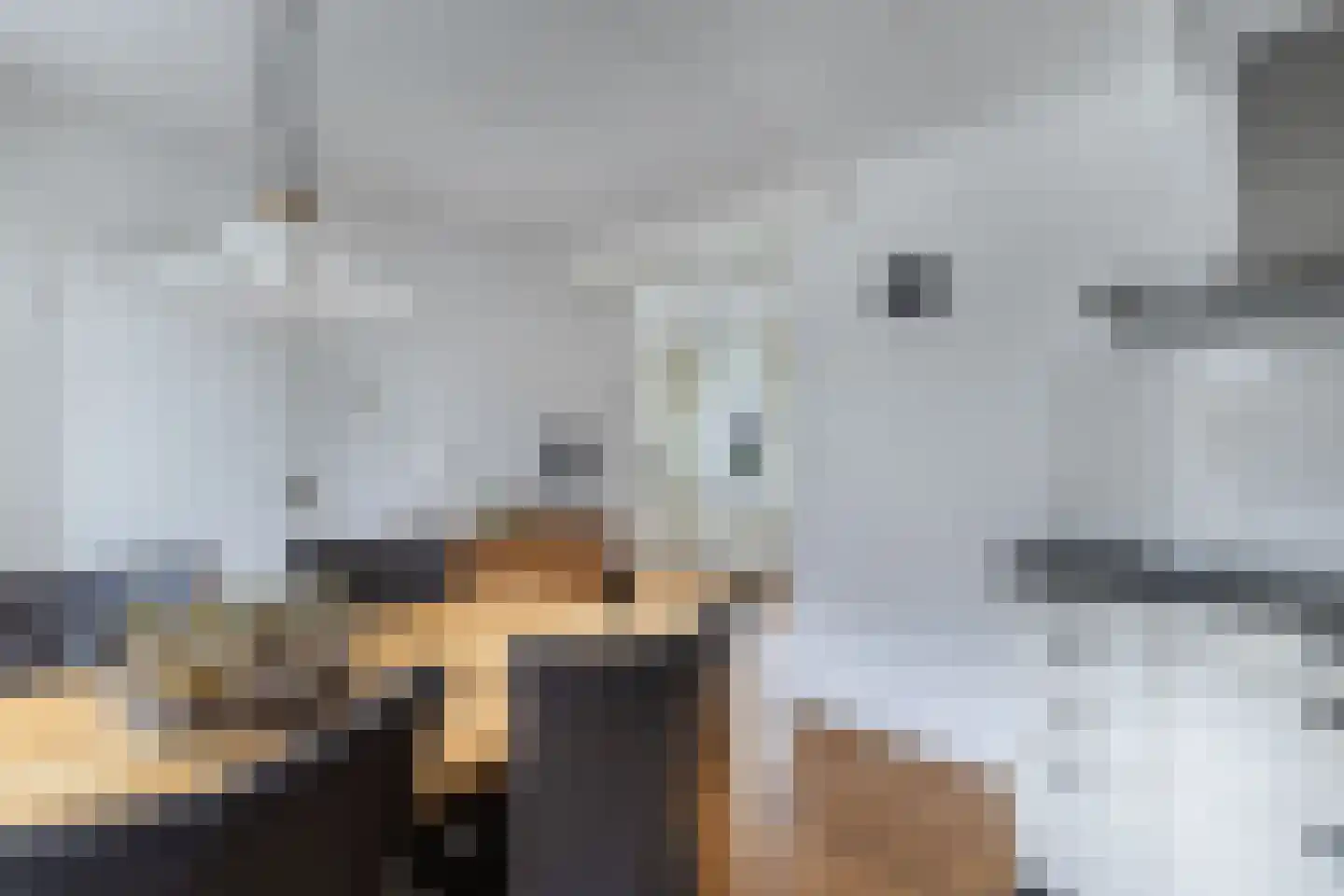 Tolheksleane 73 Frieschepalen thumbnail 16