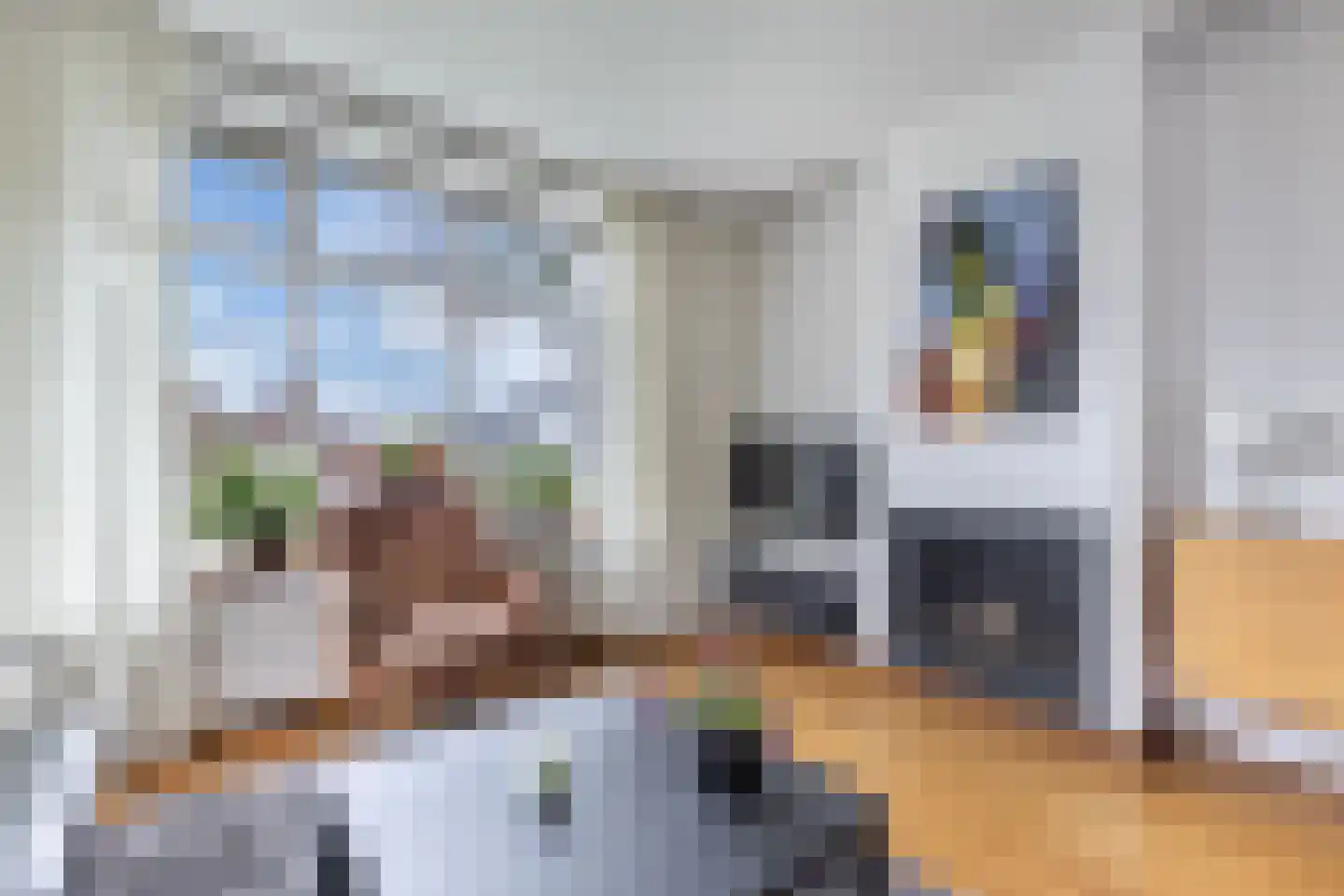 Tolheksleane 73 Frieschepalen thumbnail 19