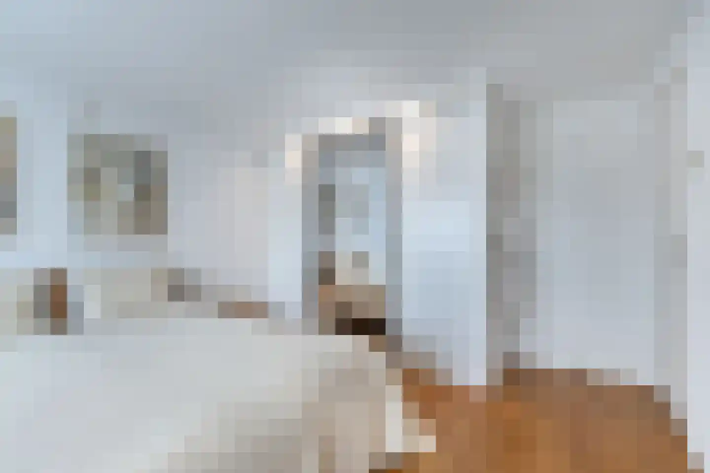 Tolheksleane 73 Frieschepalen thumbnail 21