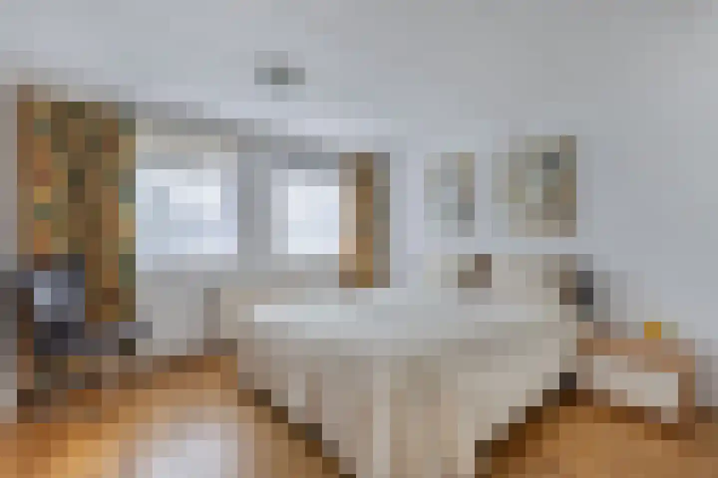 Tolheksleane 73 Frieschepalen thumbnail 22