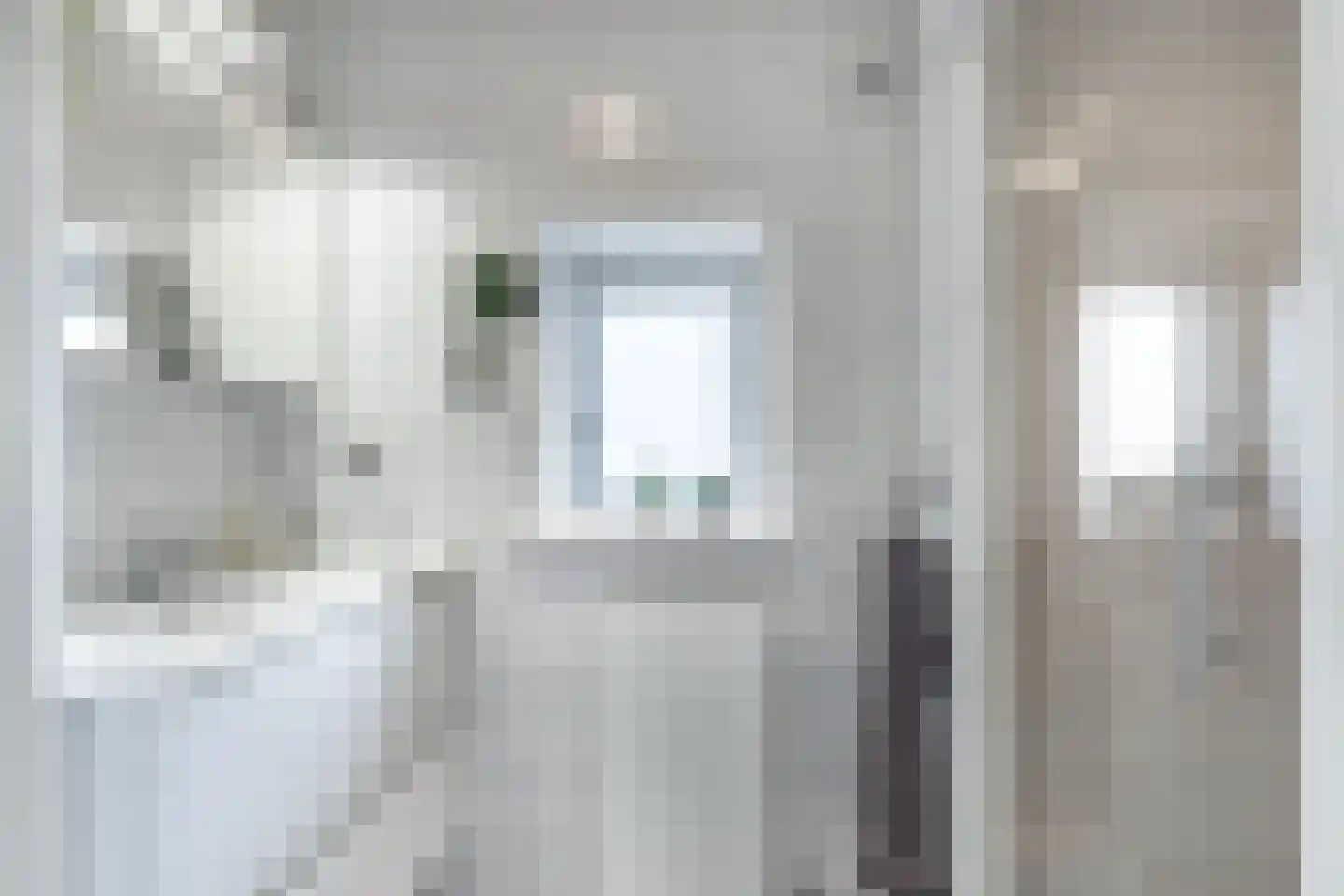Tolheksleane 73 Frieschepalen thumbnail 24