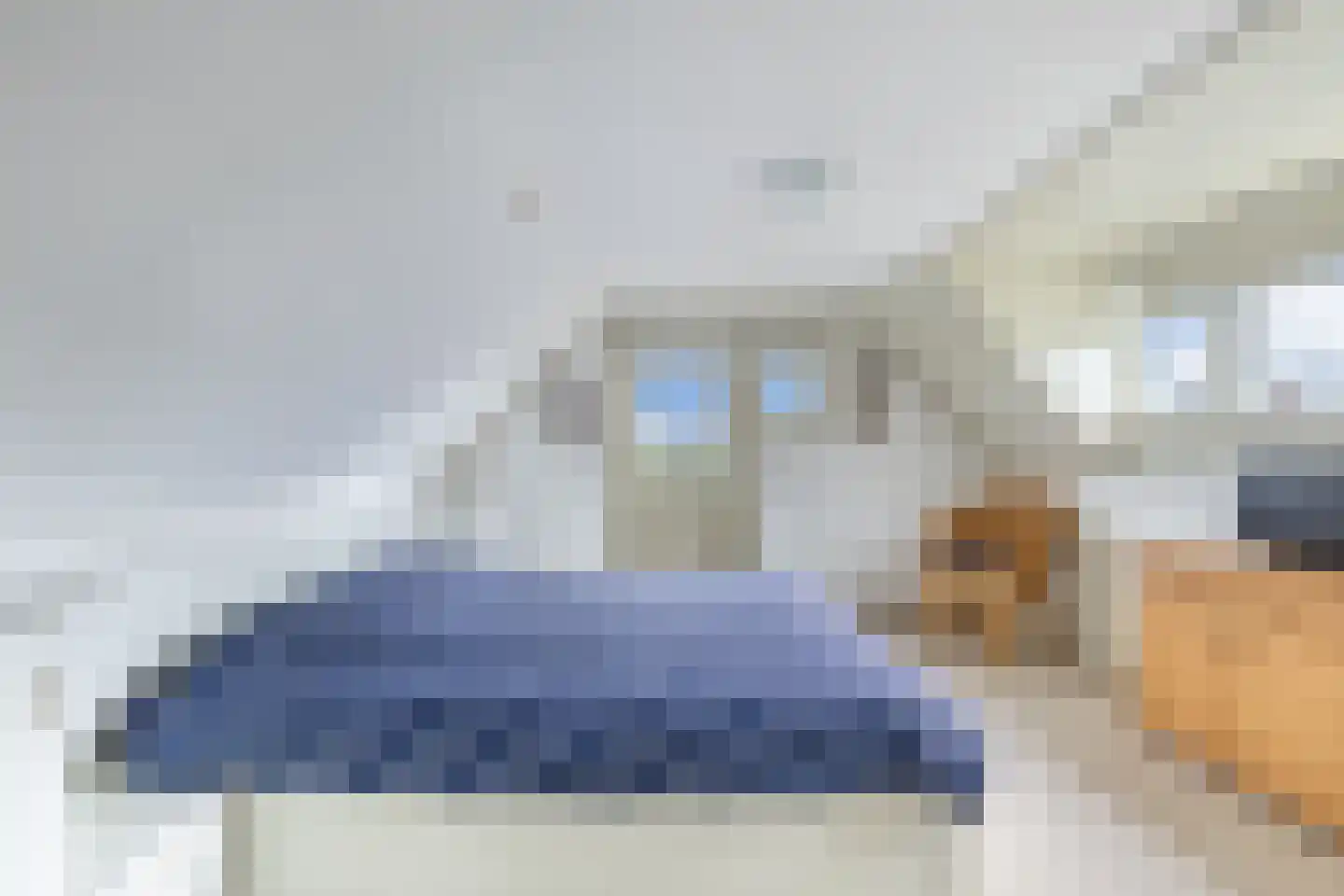 Tolheksleane 73 Frieschepalen thumbnail 27