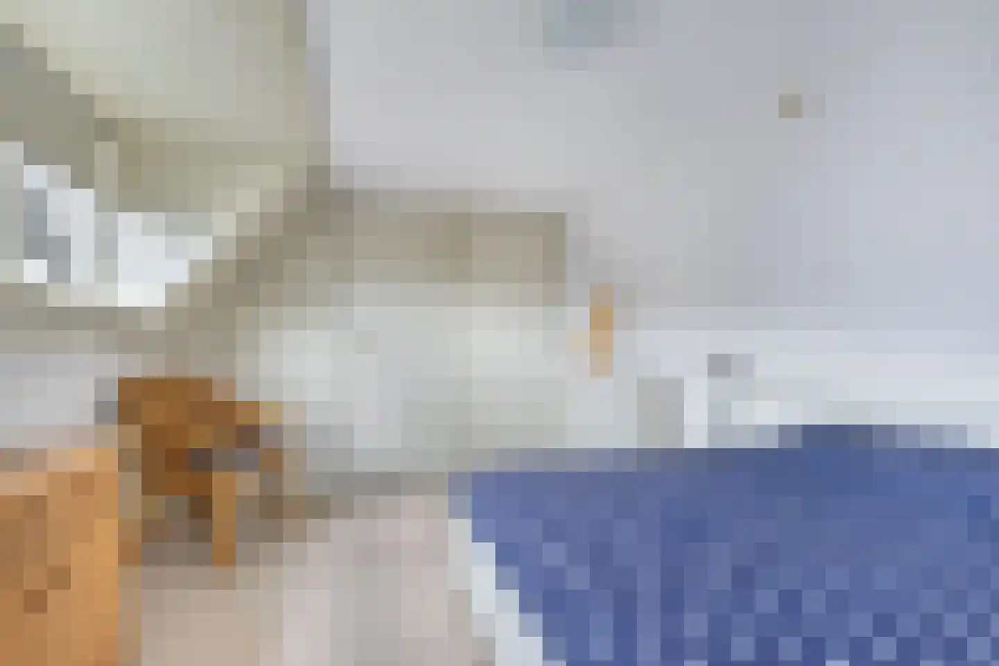 Tolheksleane 73 Frieschepalen thumbnail 29