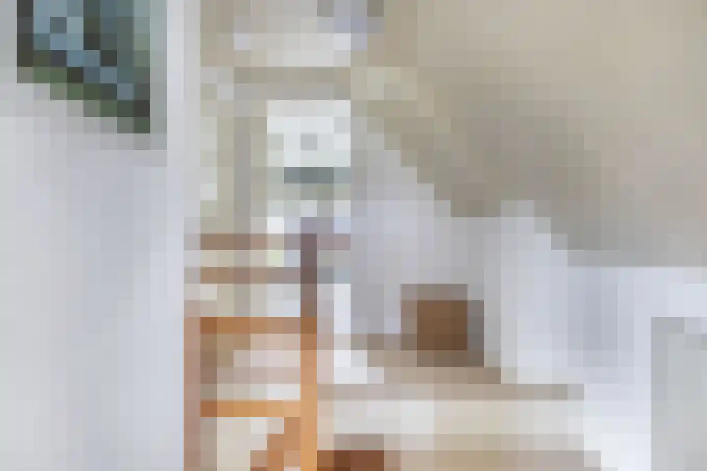 Tolheksleane 73 Frieschepalen thumbnail 30