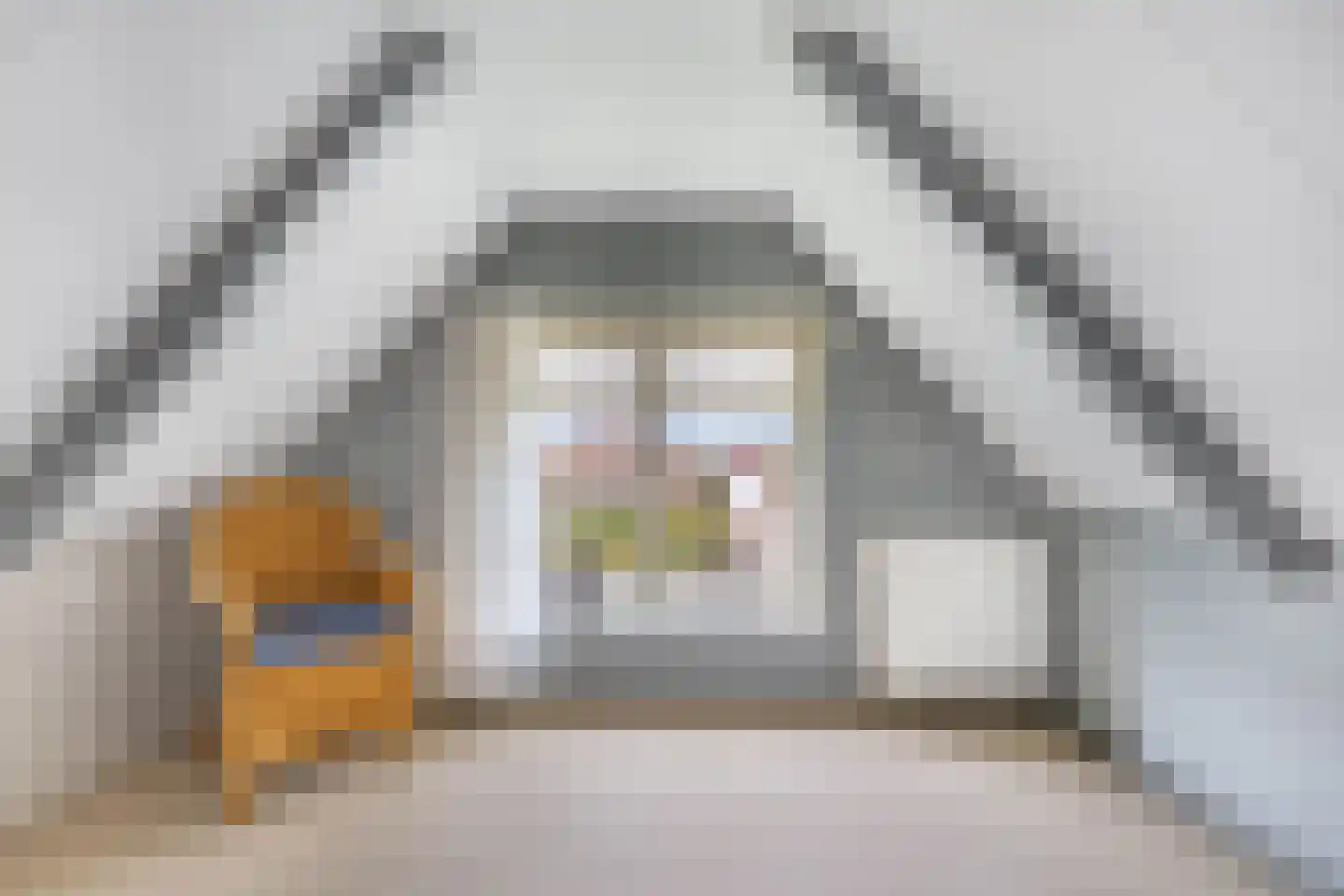 Tolheksleane 73 Frieschepalen thumbnail 31