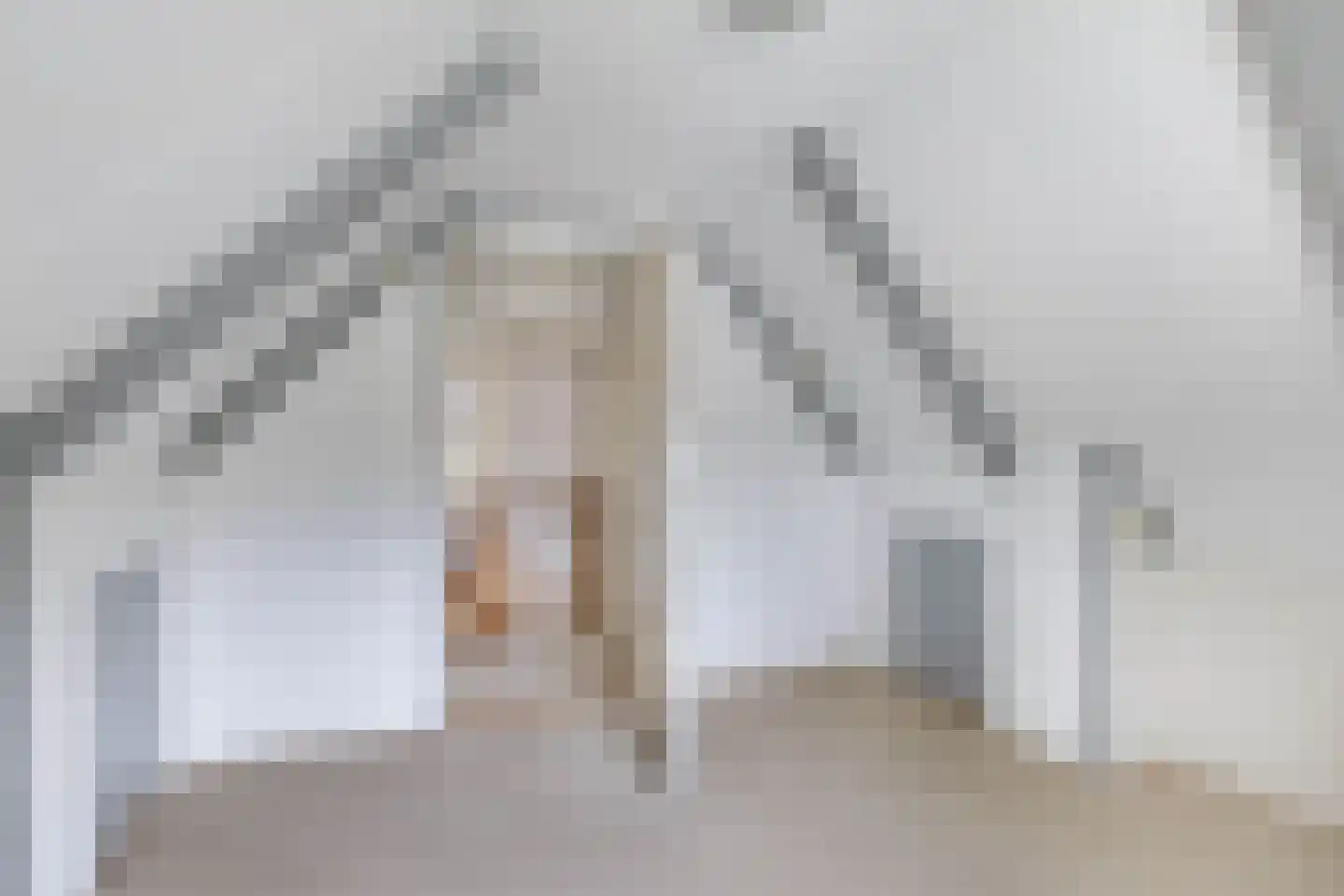 Tolheksleane 73 Frieschepalen thumbnail 32