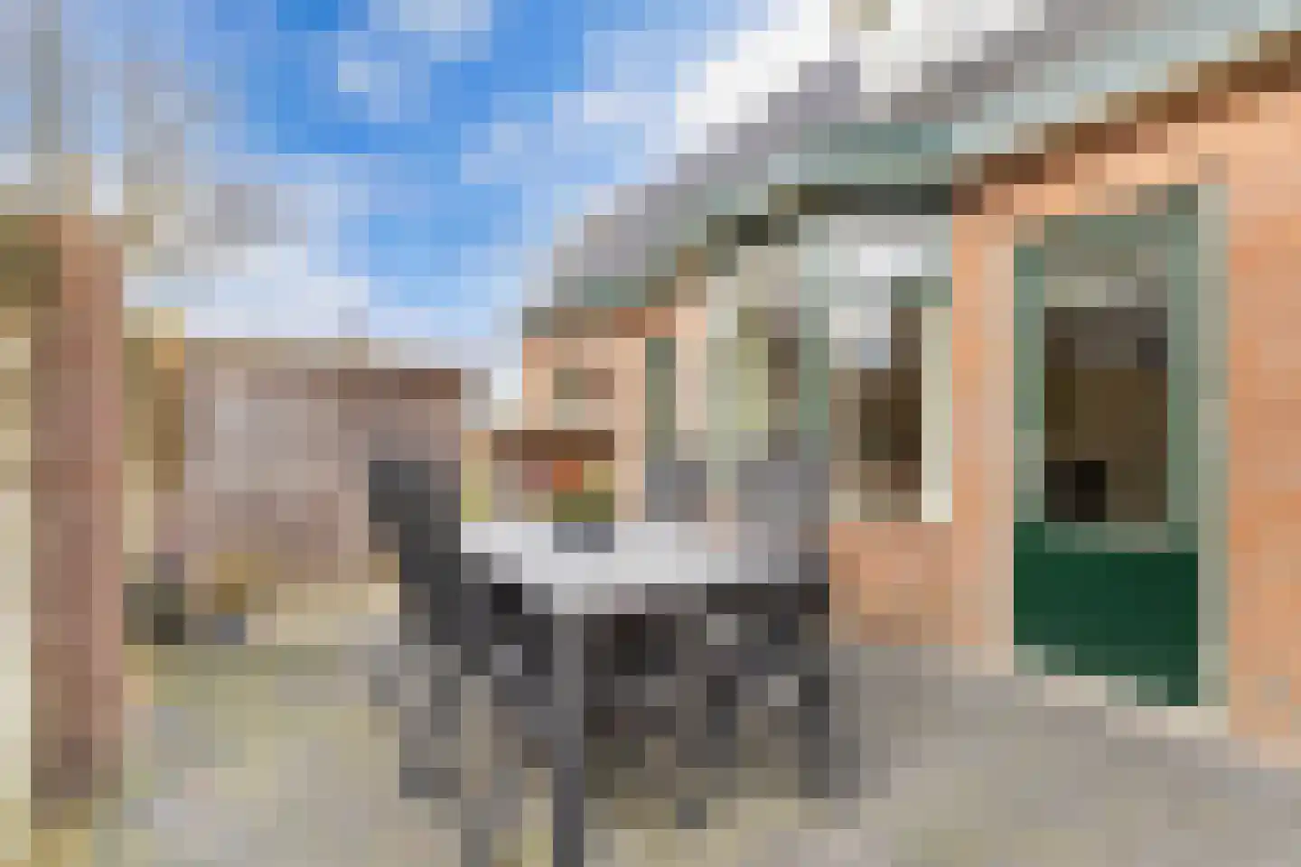 Tolheksleane 73 Frieschepalen thumbnail 33