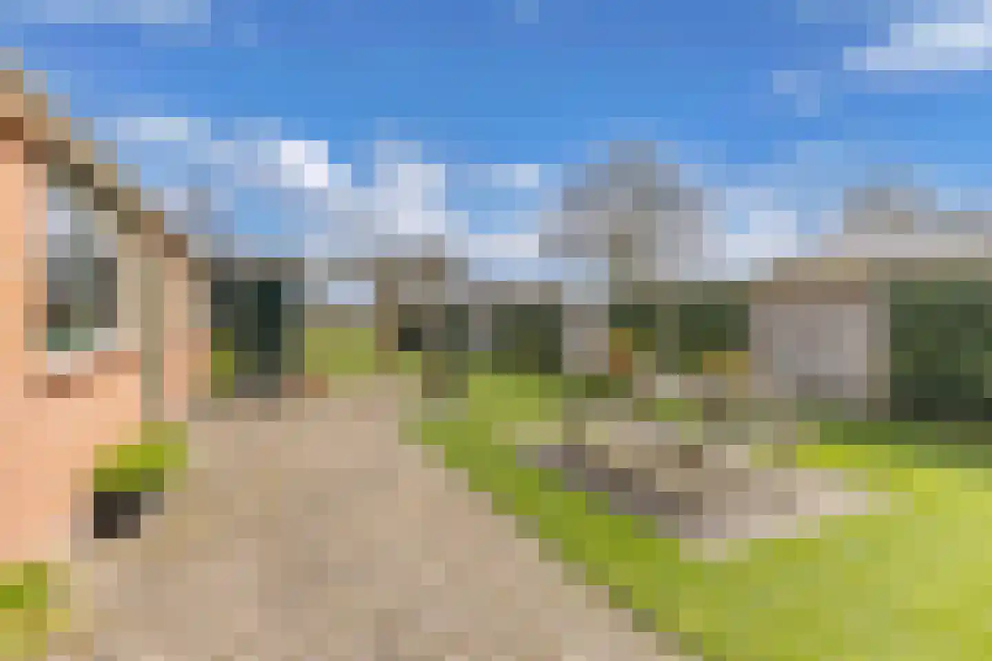 Tolheksleane 73 Frieschepalen thumbnail 34