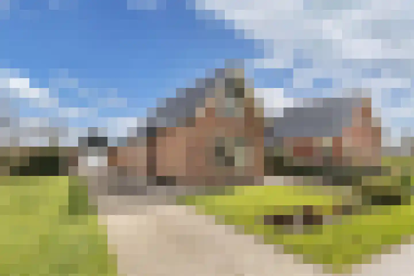 Tolheksleane 73 Frieschepalen thumbnail 4