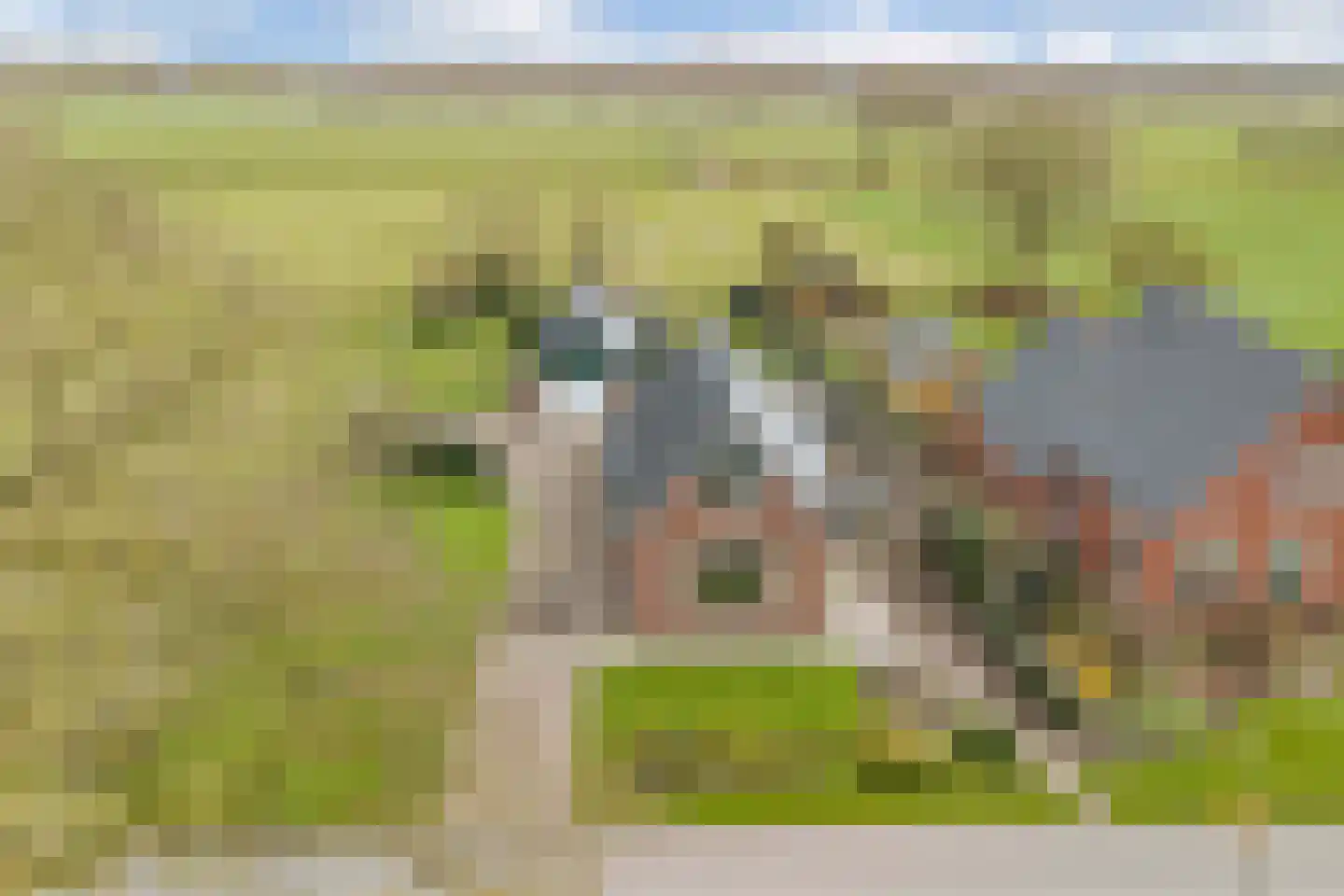 Tolheksleane 73 Frieschepalen thumbnail 42