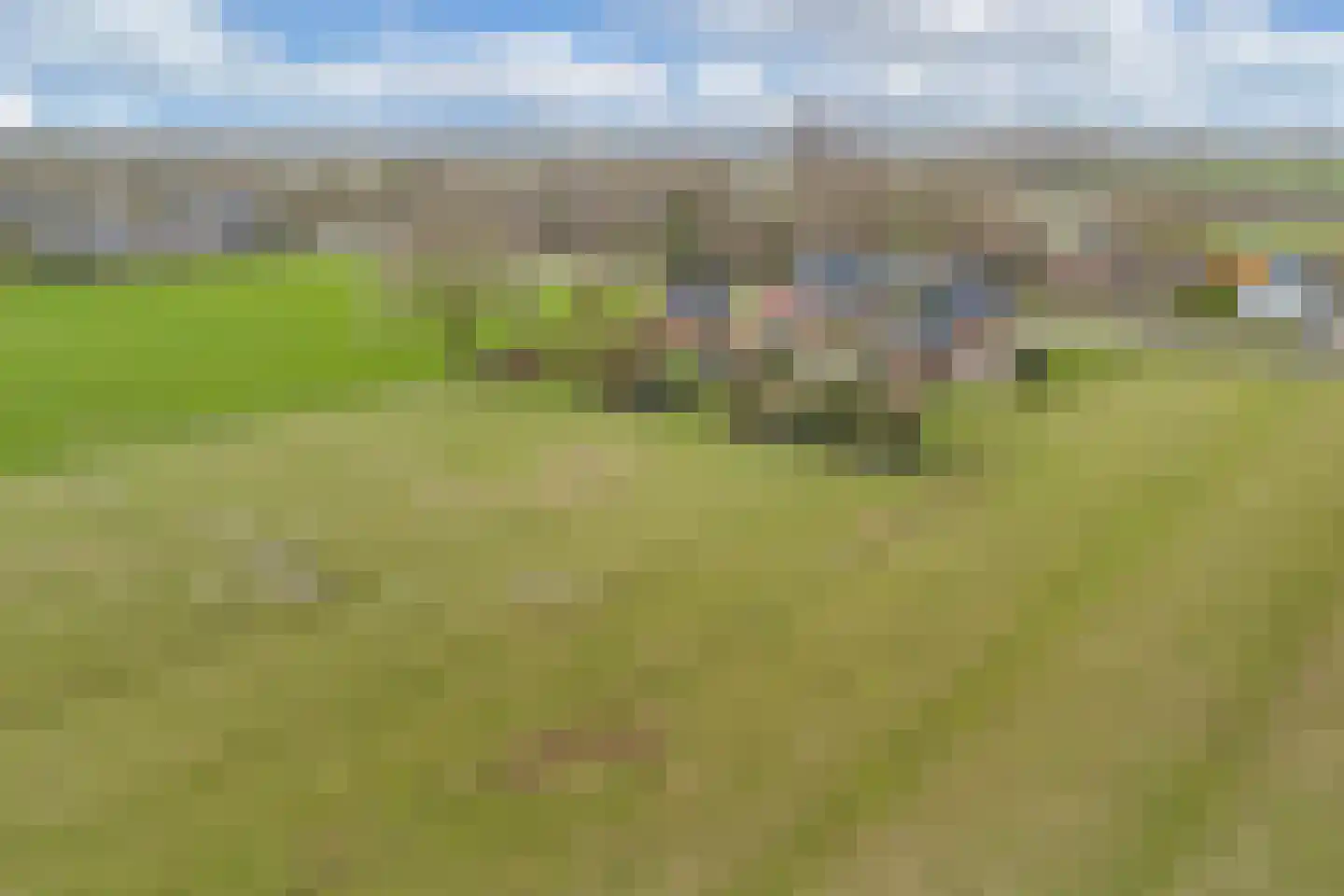 Tolheksleane 73 Frieschepalen thumbnail 45