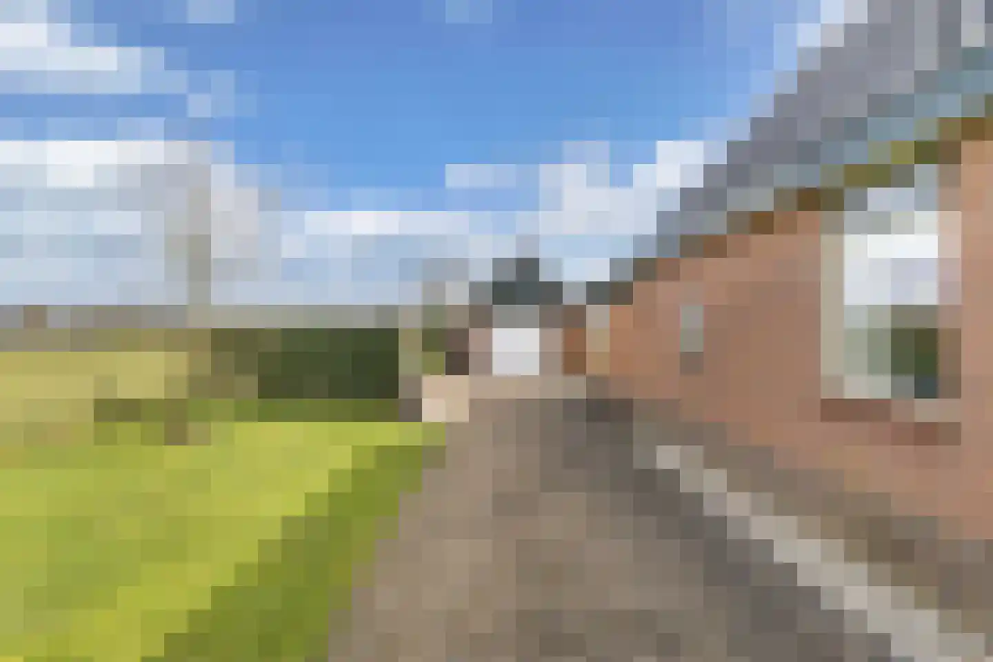 Tolheksleane 73 Frieschepalen thumbnail 7