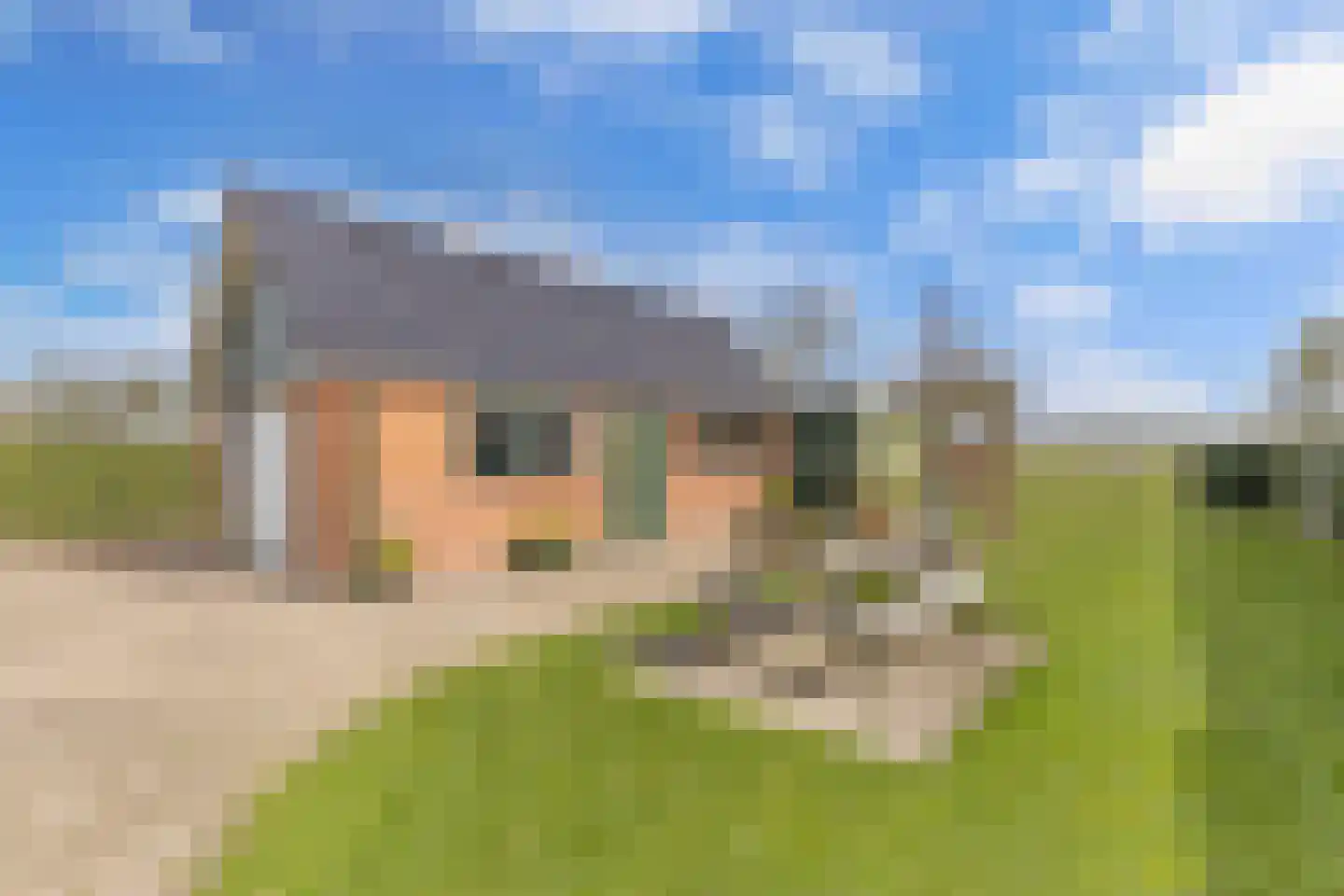 Tolheksleane 73 Frieschepalen thumbnail 8