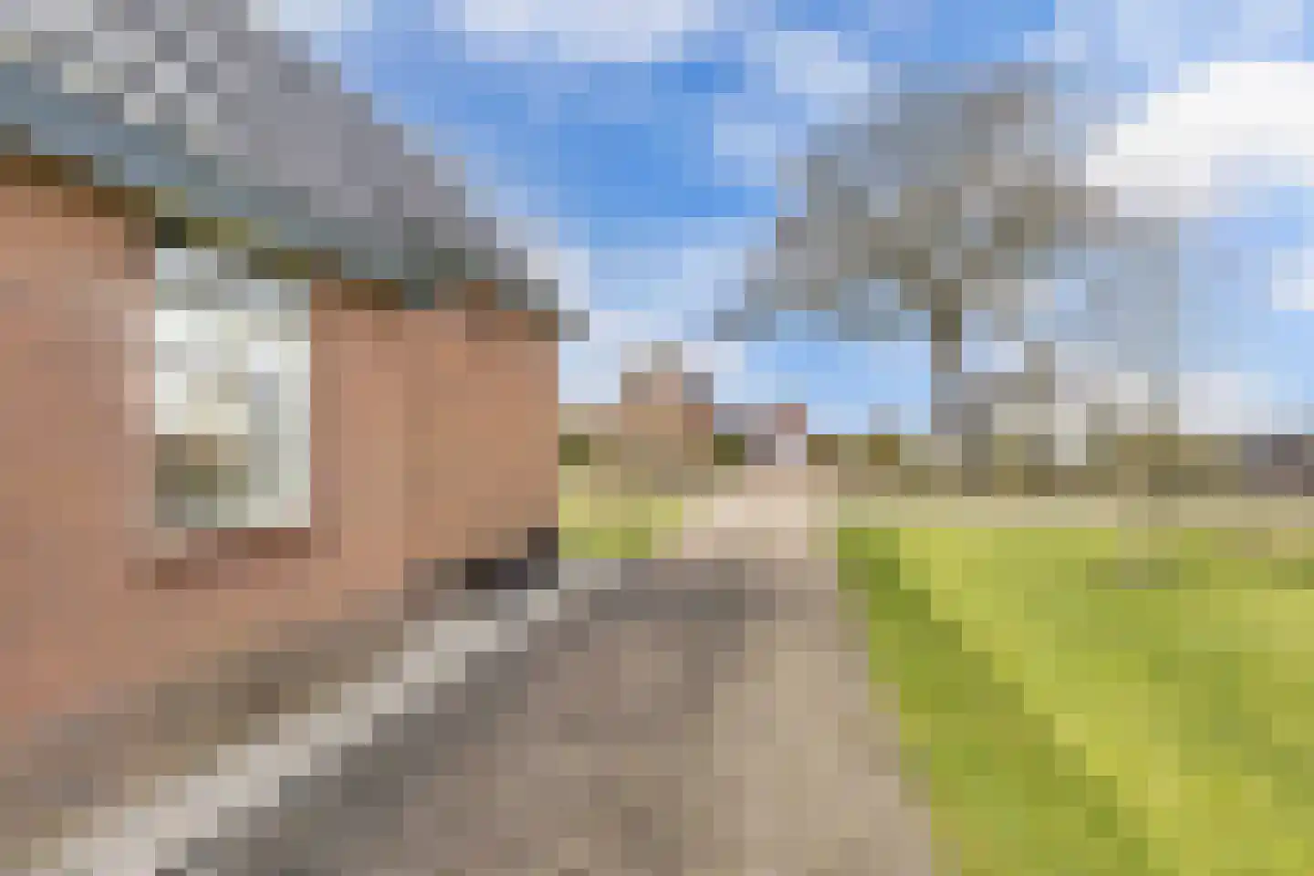 Tolheksleane 73 Frieschepalen thumbnail 9