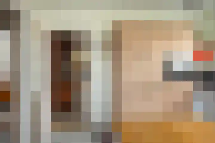 Tolheksleane 8 Frieschepalen thumbnail 12