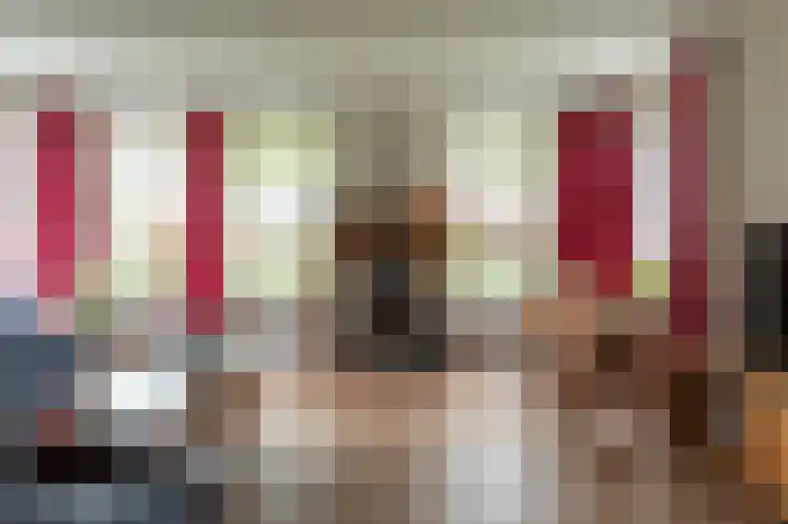 Tolheksleane 8 Frieschepalen thumbnail 13