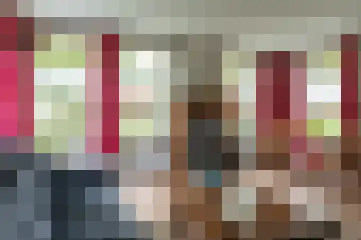 Tolheksleane 8 Frieschepalen thumbnail 15