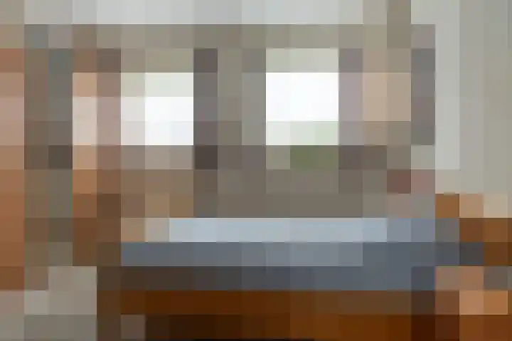 Tolheksleane 8 Frieschepalen thumbnail 17