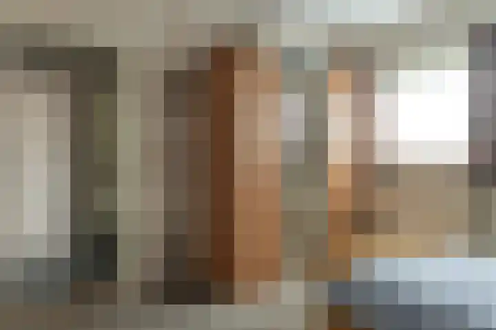 Tolheksleane 8 Frieschepalen thumbnail 18