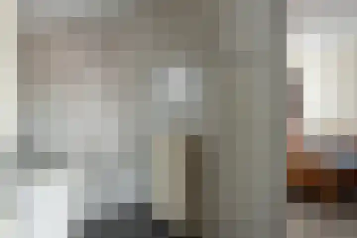 Tolheksleane 8 Frieschepalen thumbnail 19