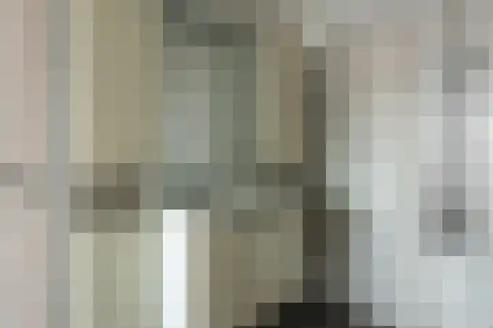 Tolheksleane 8 Frieschepalen thumbnail 20