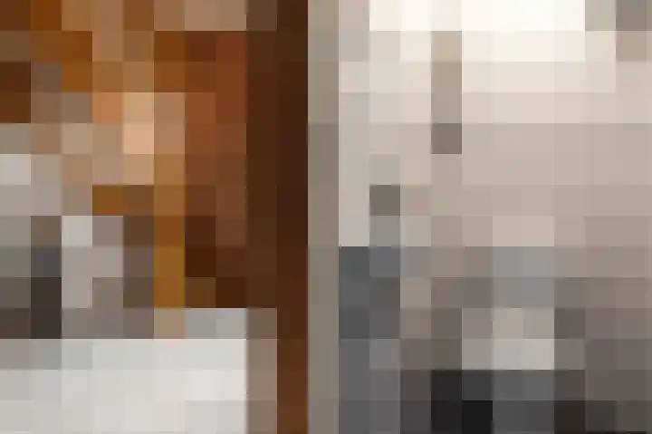 Tolheksleane 8 Frieschepalen thumbnail 21