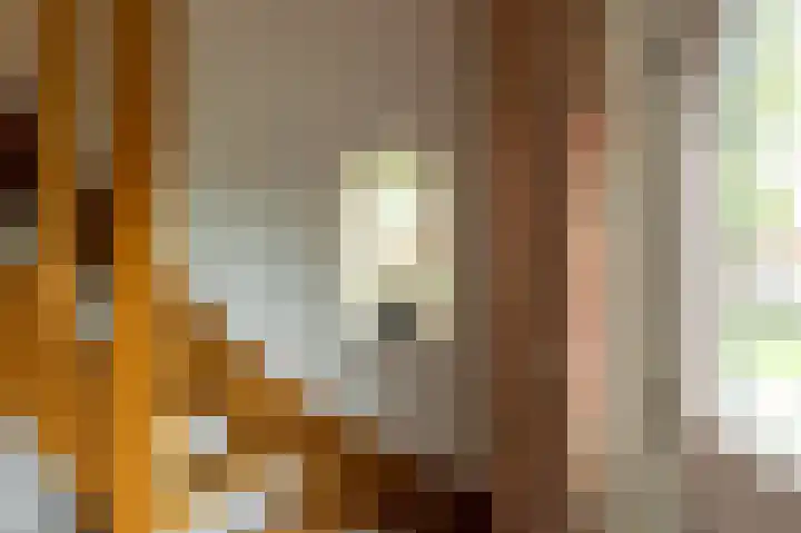 Tolheksleane 8 Frieschepalen thumbnail 22