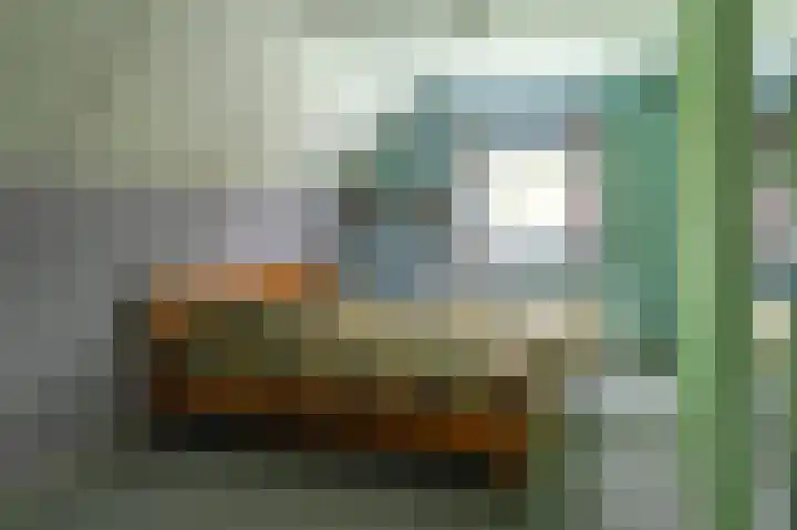 Tolheksleane 8 Frieschepalen thumbnail 25