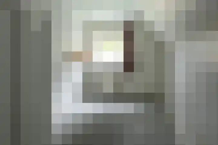 Tolheksleane 8 Frieschepalen thumbnail 26