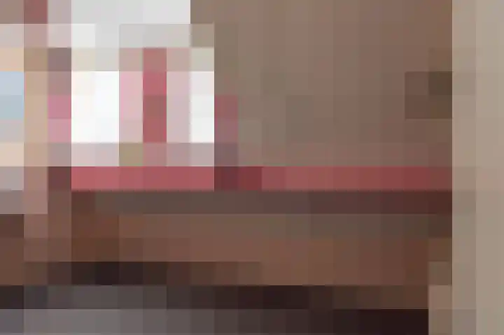 Tolheksleane 8 Frieschepalen thumbnail 27