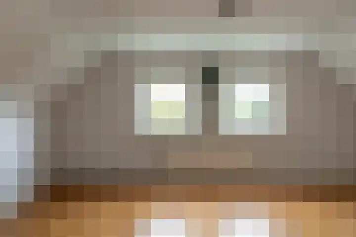 Tolheksleane 8 Frieschepalen thumbnail 29