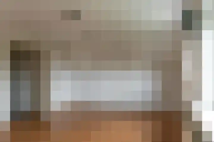 Tolheksleane 8 Frieschepalen thumbnail 30