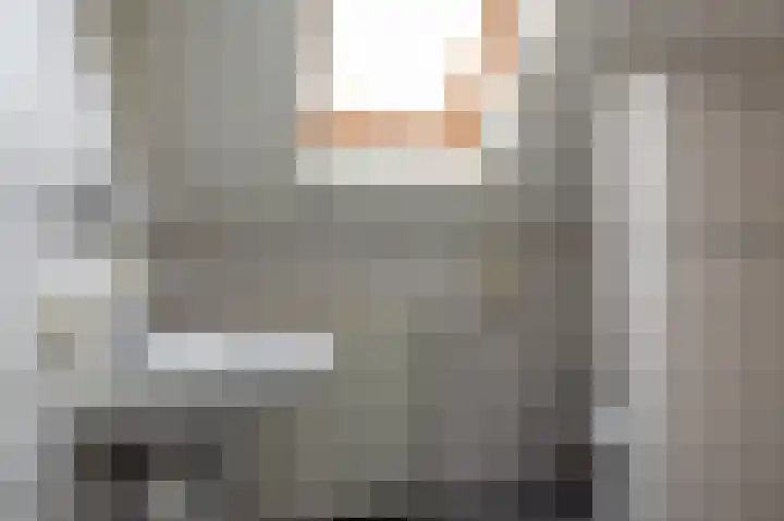 Tolheksleane 8 Frieschepalen thumbnail 31