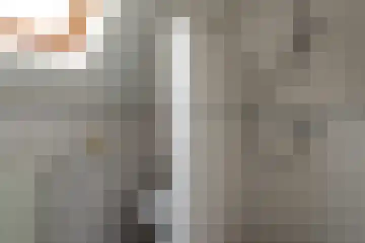 Tolheksleane 8 Frieschepalen thumbnail 32