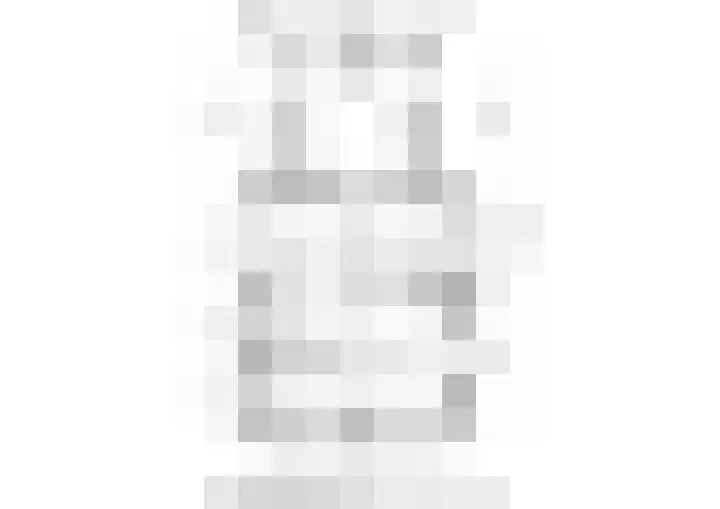 Tolheksleane 8 Frieschepalen thumbnail 33