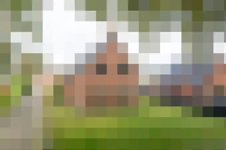 Tolheksleane 8 Frieschepalen thumbnail 34
